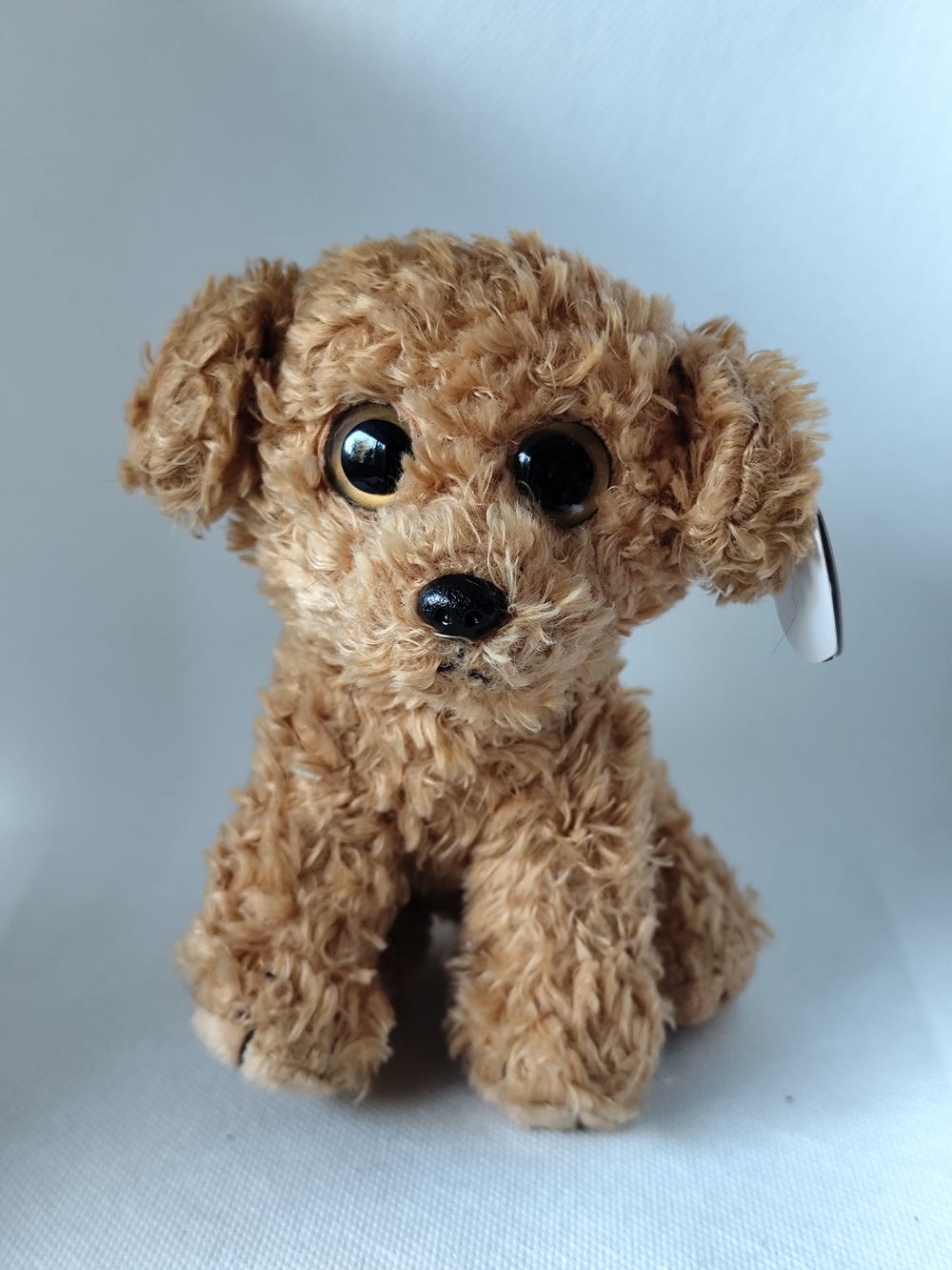 4/$50⭐️TY LUKE the DOG BEANIE BABY 2014 - with TAG